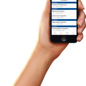 Phone in hand PNG