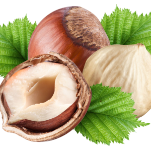 hazelnut PNG