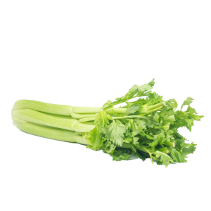 Celery PNG
