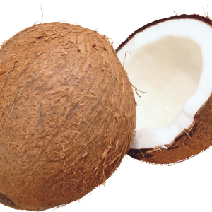 PNG Coconut