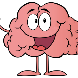 Brain PNG