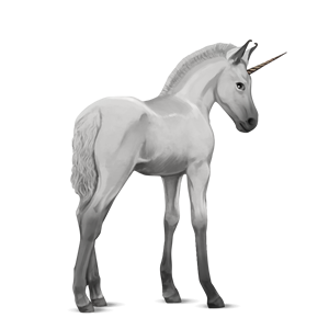 Unicorn PNG