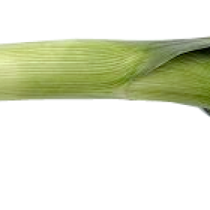 Leek PNG