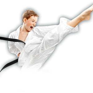 Karate PNG