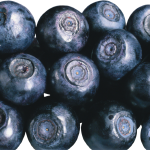 Blueberries PNG