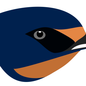 Swallow PNG