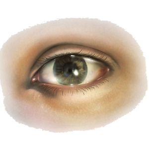 Eye PNG