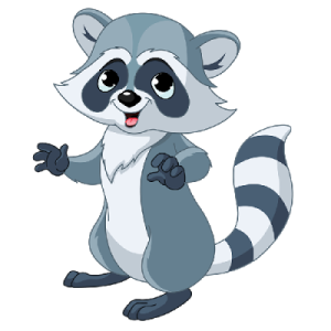 Raccoon PNG
