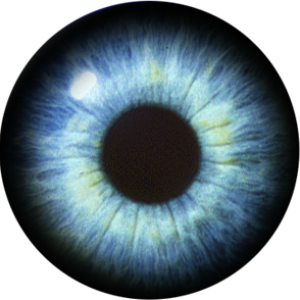 Eye PNG