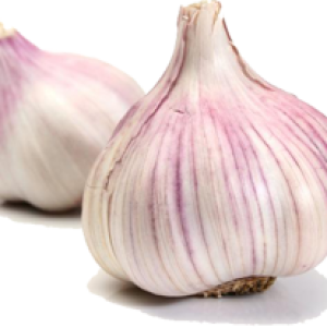 Garlic PNG