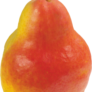 Pear PNG image