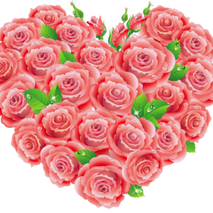 Heart PNG