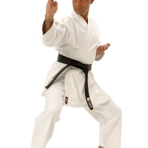 Karate PNG