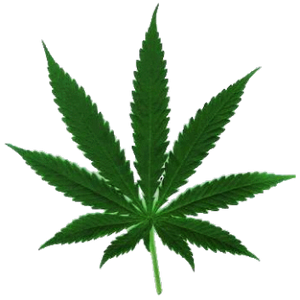 Cannabis PNG