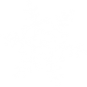 White snowflake PNG image