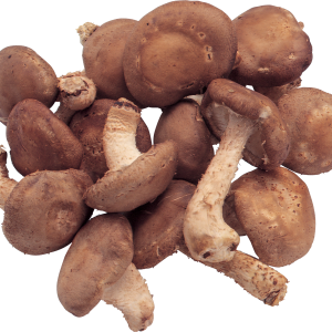 Mushrooms PNG image