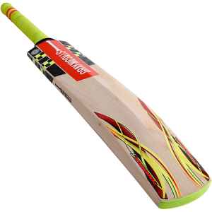 Cricket bat PNG