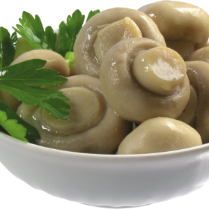 Mushroom PNG image