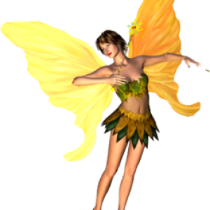 Fairy PNG