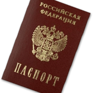 Passport PNG