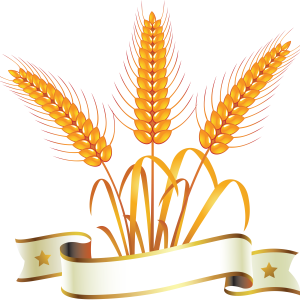 Wheat PNG
