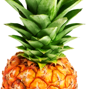 Pineapple PNG image, free download