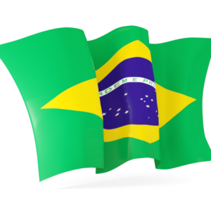 Brazil flag PNG