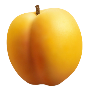 Apricot PNG