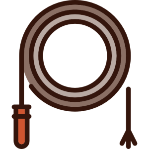 Whip PNG