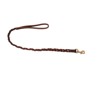 Leash PNG