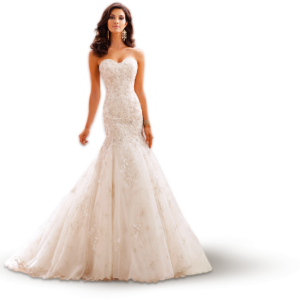 Bride PNG
