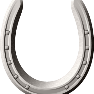 Horseshoe PNG