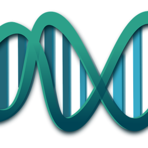 DNA PNG