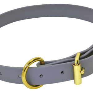 Dog collar PNG