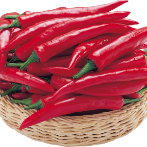 Chili pepper PNG