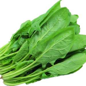 Spinach PNG