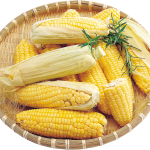 Corn PNG image