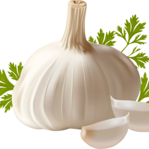 Garlic PNG