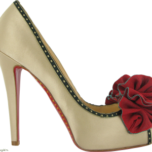 Women shoes PNG image
