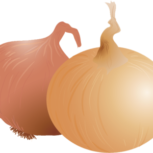 Onion PNG