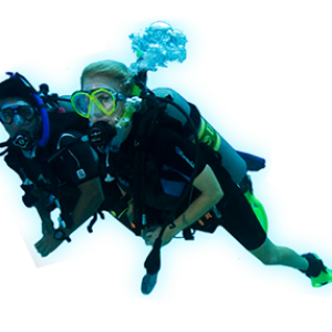 Diver PNG