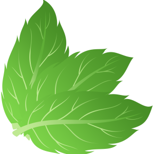 mint PNG