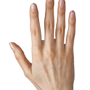 hand PNG