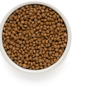 Dog food PNG