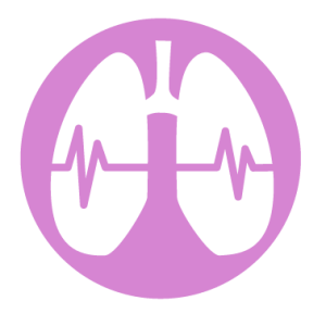 Lungs PNG