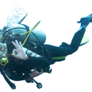 Diver PNG