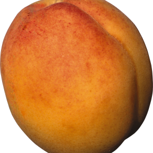 Peach PNG image