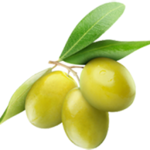 Olive PNG