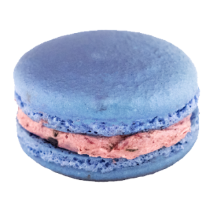 Macaron PNG