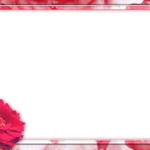 Picture, photo frame PNG